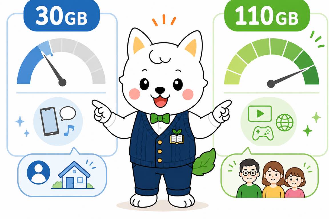 ahamoの30GBプランと110GB大盛りを比較するイラスト